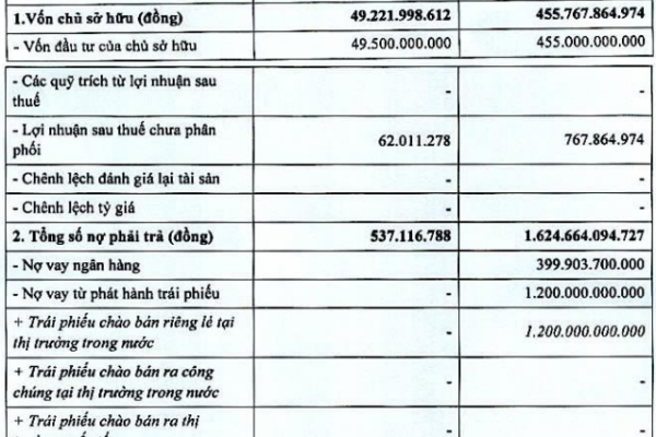 Doanh nghiệp dự án Khu biệt thự nghỉ dưỡng Đảo Ngọc báo lãi bán niên 1 tỷ đồng