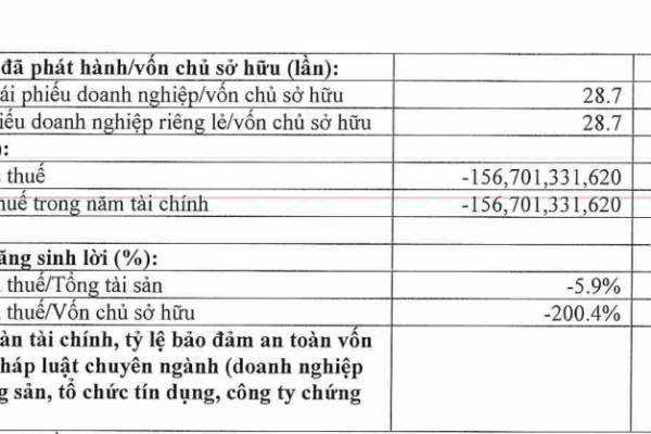 Mỹ Khánh báo lãi ròng bán niên 2025 cao đột biến, ‘sạch’ nợ trái phiếu