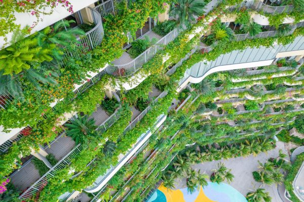 Flamingo Cát Bà Resorts xác lập vị thế top đầu qua hiệu suất lấp đầy ấn tượng