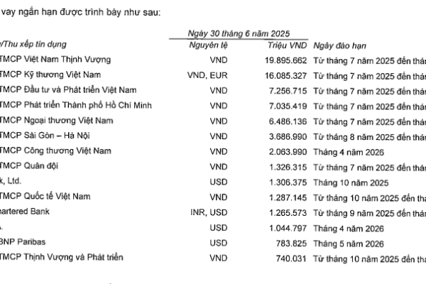 Khoản nợ 800.000 tỷ đồng bị thông tin thất thiệt của Vingroup có gì đáng chú ý?