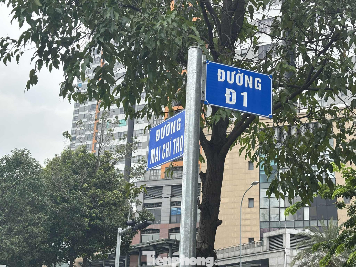 Cận cảnh tuyến đường đầu tiên ở TPHCM sẽ cải tạo thành làn xe đạp- Ảnh 3. Cận cảnh tuyến đường đầu tiên ở TPHCM sẽ cải tạo thành làn xe đạp- Ảnh 3.