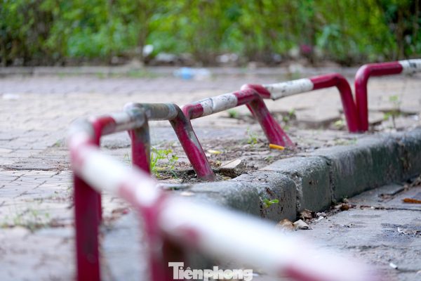 Cảnh hoang tàn, xuống cấp tại vườn hoa 52 tỷ ở Hà Nội