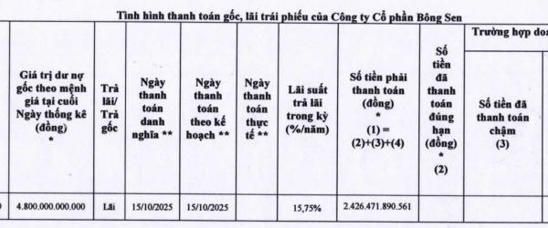 Doanh nghiệp liên quan đến bà Trương Mỹ Lan chậm thanh toán hơn 2.400 tỷ đồng trái phiếu